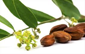 huile-vegetale-jojoba